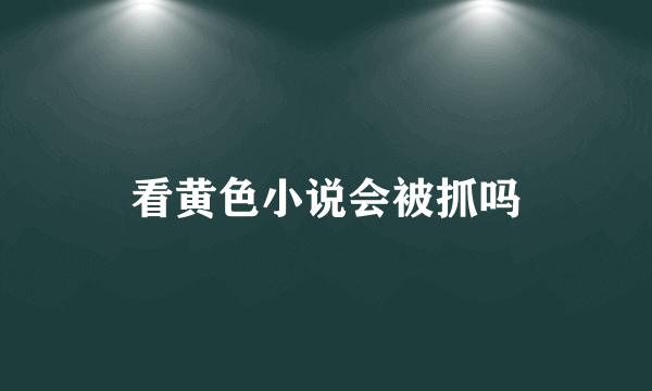 看黄色小说会被抓吗