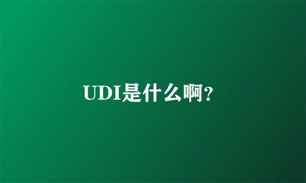 UDI是什么啊？