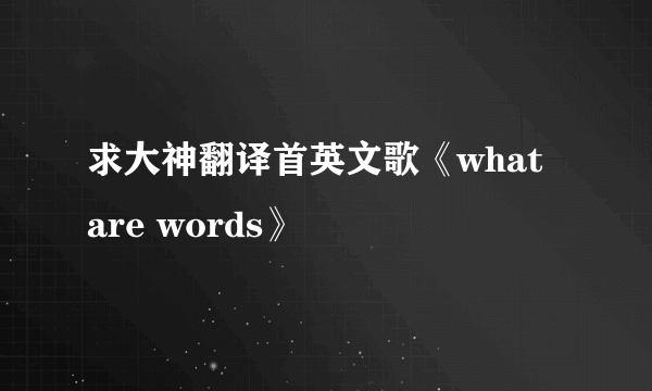 求大神翻译首英文歌《what are words》