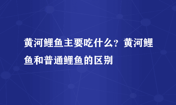 黄河鲤鱼主要吃什么？黄河鲤鱼和普通鲤鱼的区别