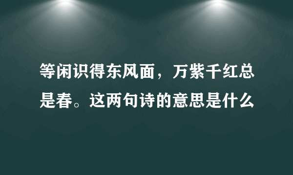 等闲识得东风面，万紫千红总是春。这两句诗的意思是什么