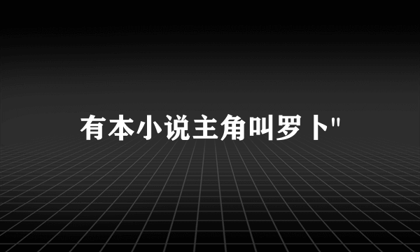 有本小说主角叫罗卜