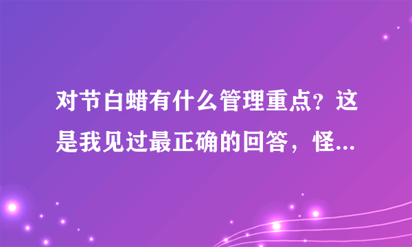 对节白蜡有什么管理重点？这是我见过最正确的回答，怪不得没养好