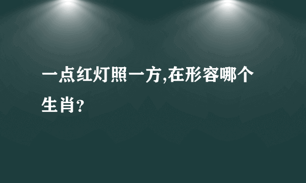 一点红灯照一方,在形容哪个生肖？