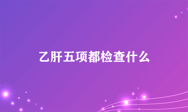 乙肝五项都检查什么