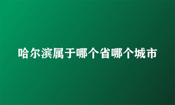 哈尔滨属于哪个省哪个城市