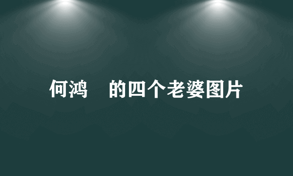 何鸿燊的四个老婆图片