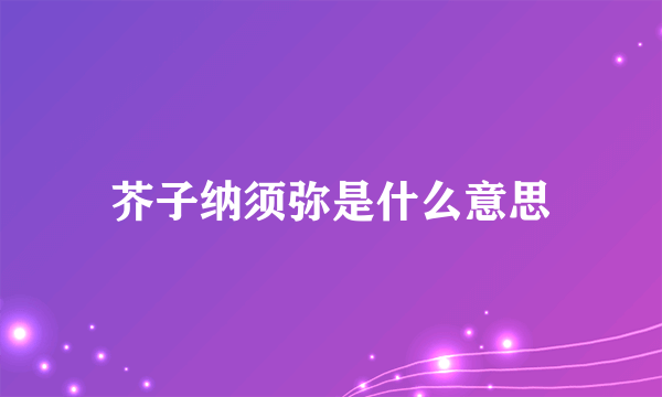 芥子纳须弥是什么意思