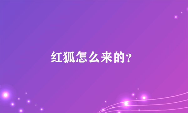 红狐怎么来的？