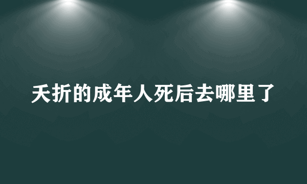 夭折的成年人死后去哪里了