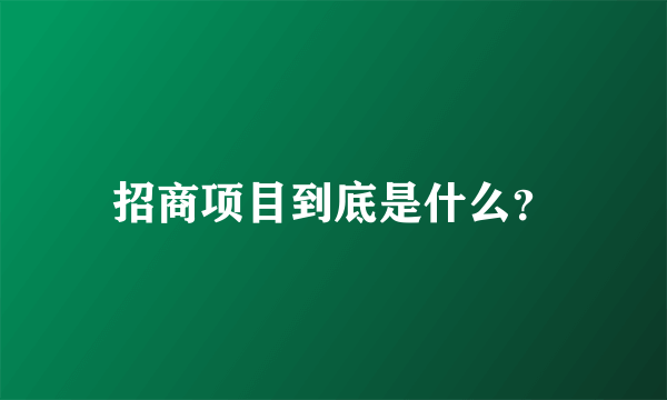 招商项目到底是什么？