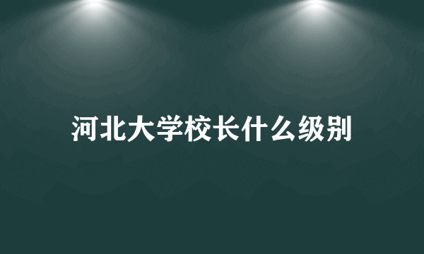 河北大学校长什么级别