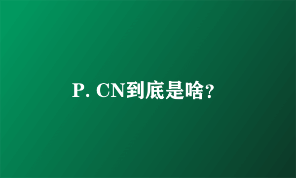 P. CN到底是啥？