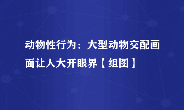 动物性行为：大型动物交配画面让人大开眼界【组图】