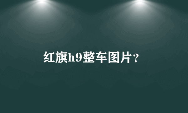 红旗h9整车图片？