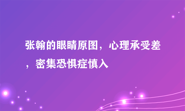 张翰的眼睛原图，心理承受差，密集恐惧症慎入