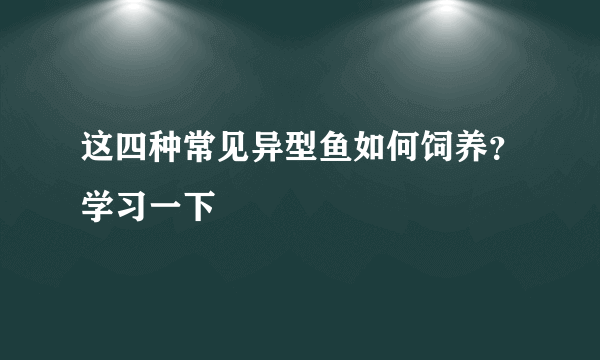 这四种常见异型鱼如何饲养？学习一下