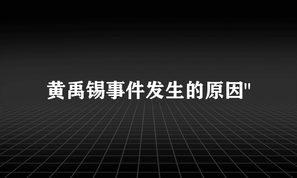 黄禹锡事件发生的原因