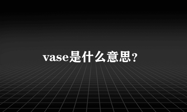 vase是什么意思？