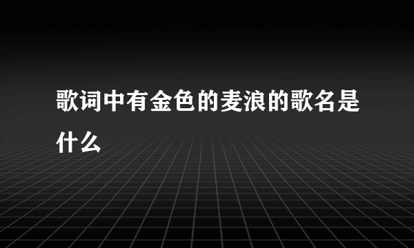 歌词中有金色的麦浪的歌名是什么