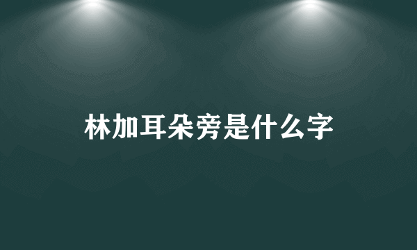 林加耳朵旁是什么字