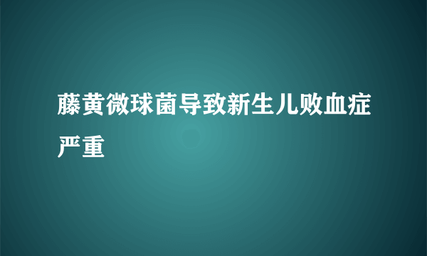 藤黄微球菌导致新生儿败血症严重