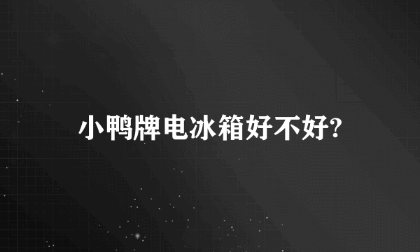 小鸭牌电冰箱好不好?