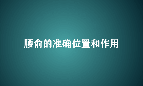 腰俞的准确位置和作用