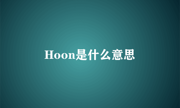 Hoon是什么意思