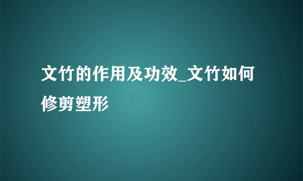 文竹的作用及功效_文竹如何修剪塑形