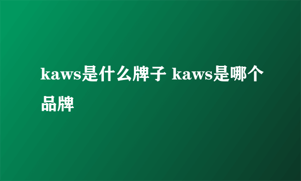 kaws是什么牌子 kaws是哪个品牌