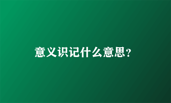 意义识记什么意思？