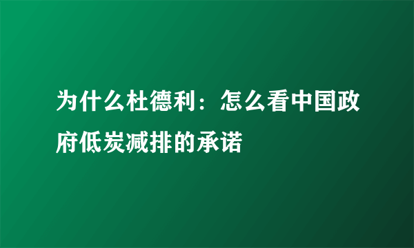 为什么杜德利：怎么看中国政府低炭减排的承诺