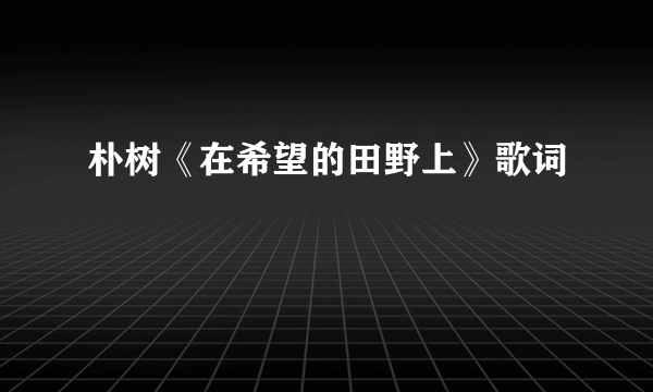 朴树《在希望的田野上》歌词