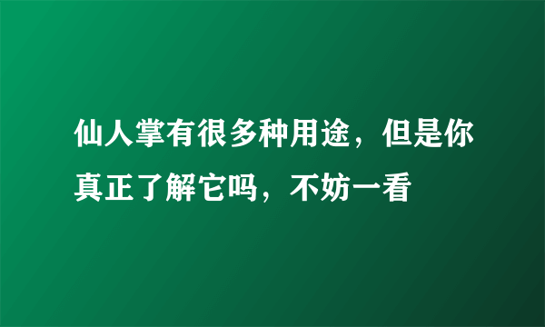 仙人掌有很多种用途，但是你真正了解它吗，不妨一看