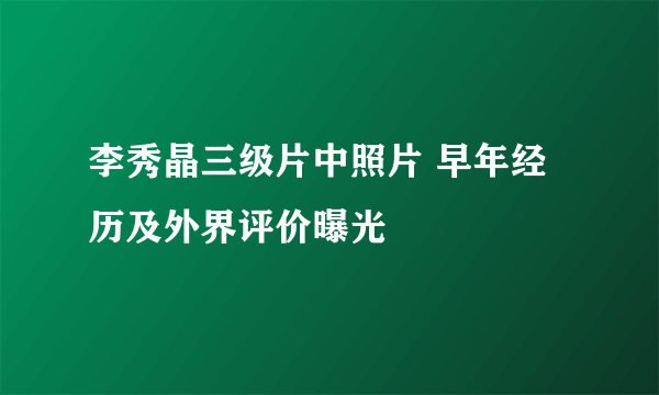 李秀晶三级片中照片 早年经历及外界评价曝光