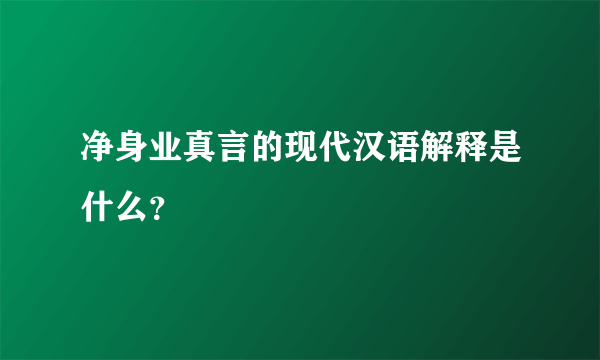 净身业真言的现代汉语解释是什么？