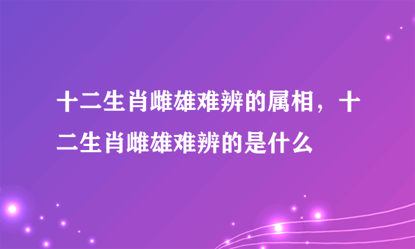 十二生肖雌雄难辨的属相，十二生肖雌雄难辨的是什么