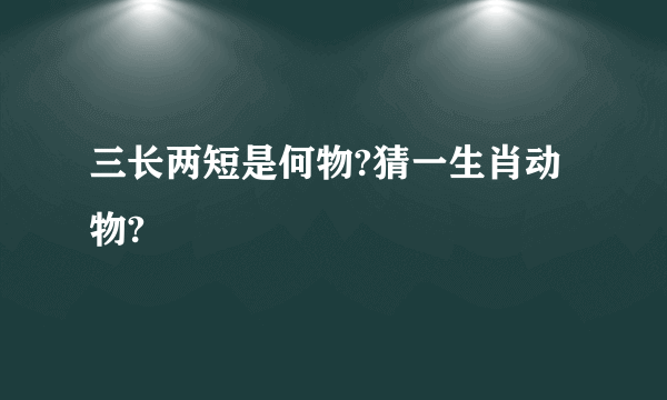 三长两短是何物?猜一生肖动物?