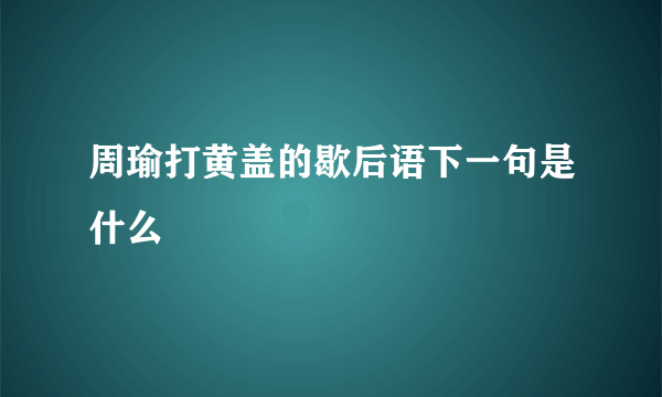 周瑜打黄盖的歇后语下一句是什么