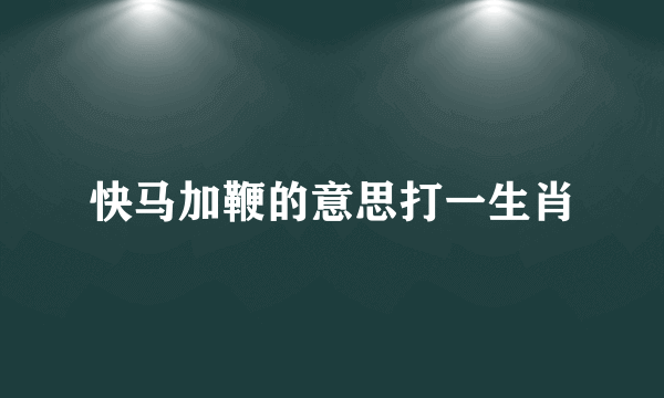 快马加鞭的意思打一生肖