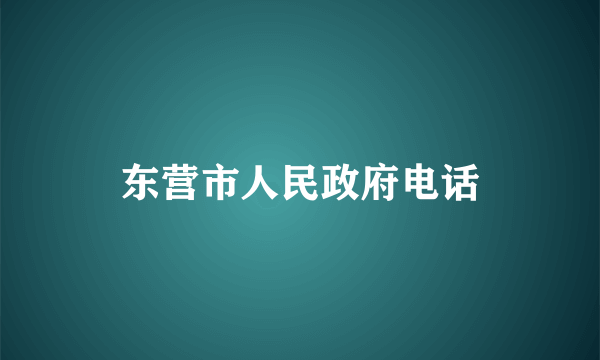 东营市人民政府电话