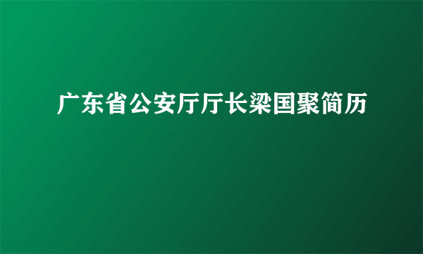 广东省公安厅厅长梁国聚简历