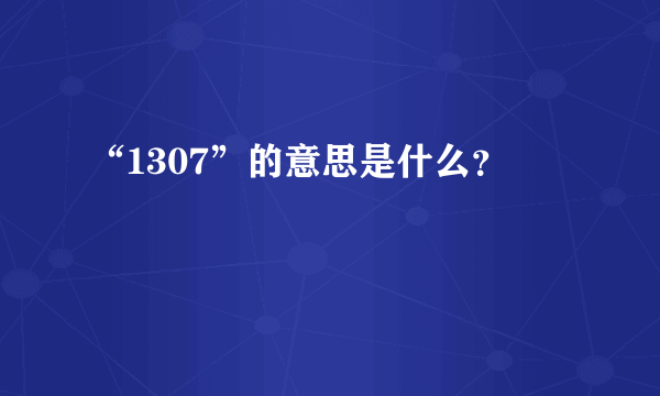 “1307”的意思是什么？