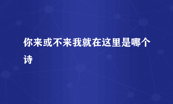 你来或不来我就在这里是哪个诗