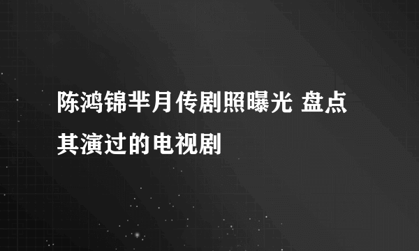 陈鸿锦芈月传剧照曝光 盘点其演过的电视剧