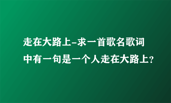 走在大路上-求一首歌名歌词中有一句是一个人走在大路上？