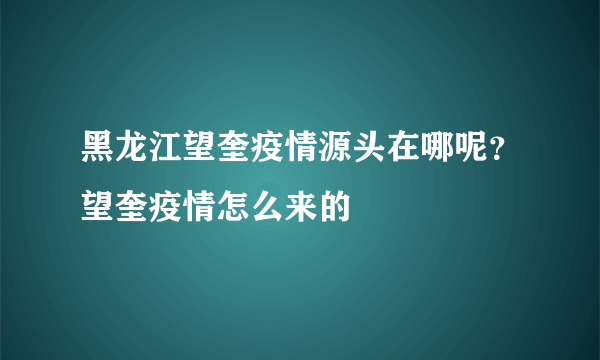 黑龙江望奎疫情源头在哪呢？望奎疫情怎么来的