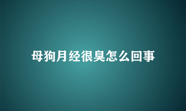 母狗月经很臭怎么回事