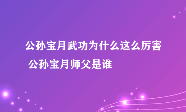 公孙宝月武功为什么这么厉害 公孙宝月师父是谁